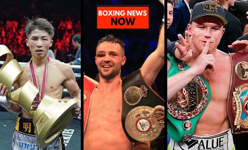 Boxer of the Year 2019