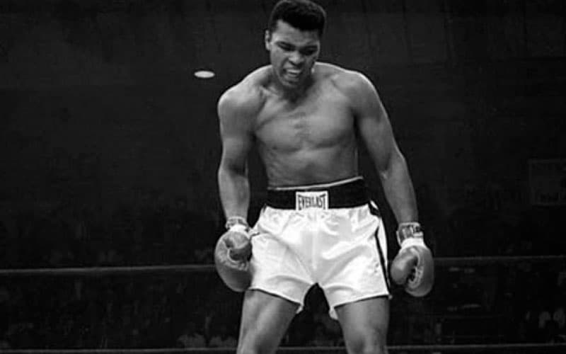 Muhammad Ali Phantom Punch