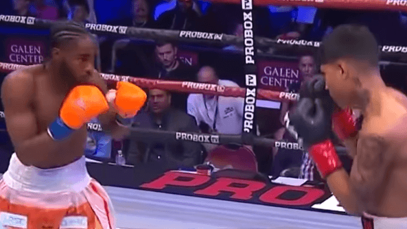 White stopped Torres in nine rounds