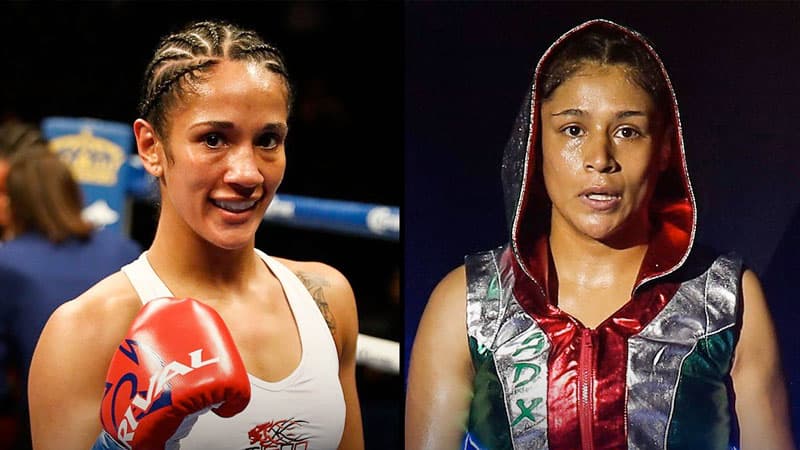 Amanda Serrano vs Erika Cruz
