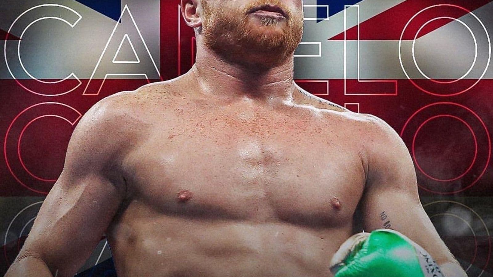 Canelo With Union Jack Background