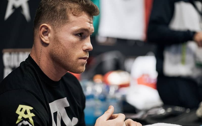 Canelo Training