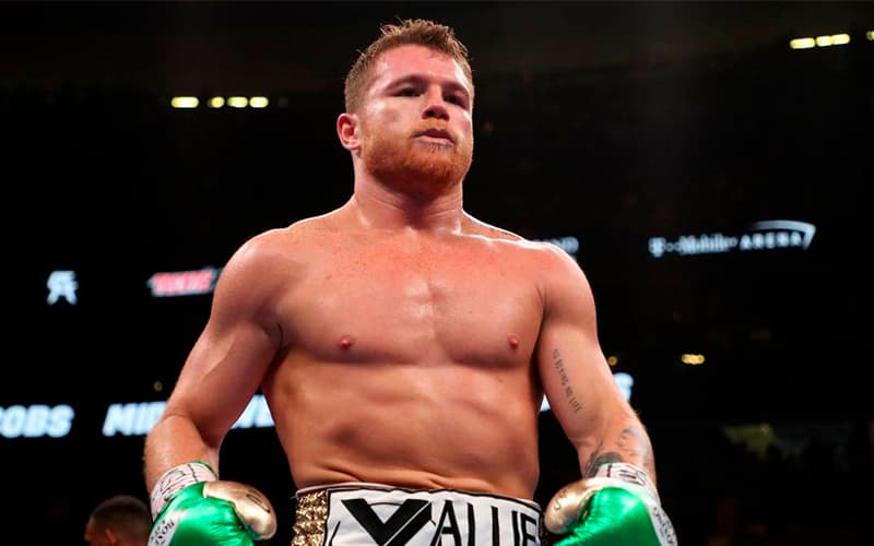 Canelo Green Gloves
