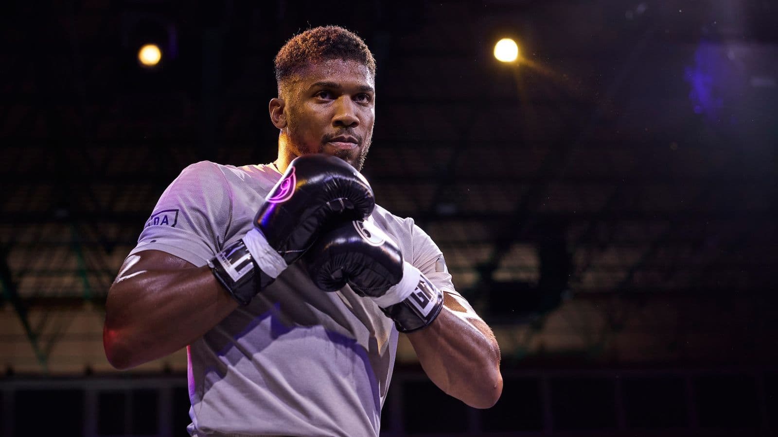 Anthony Joshua Public Workout