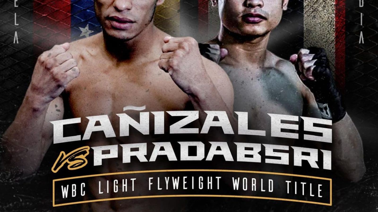 Carlos Canizales vs Panya Pradabsri