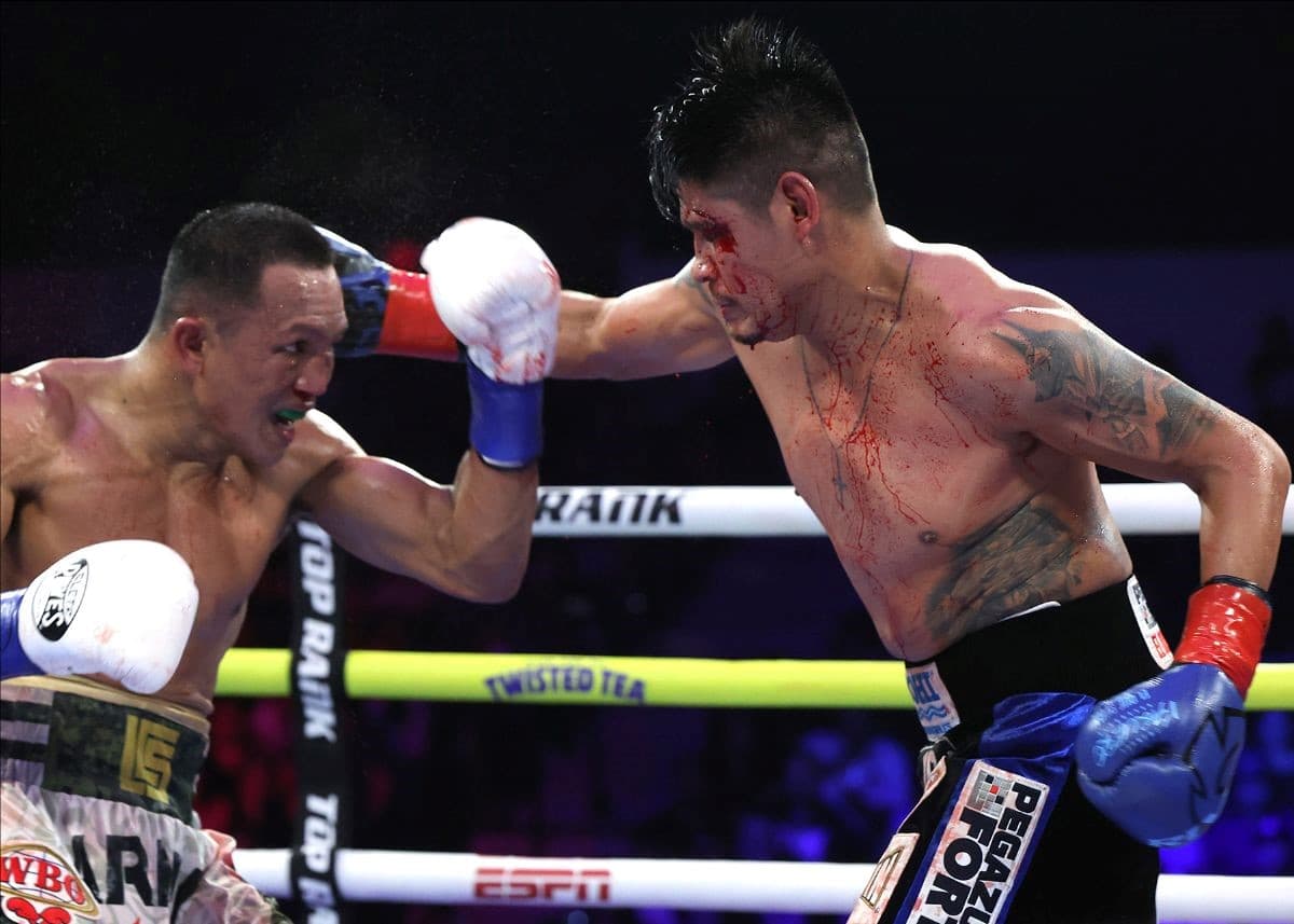 Emanuel Navarrete vs Charly Suarez Fight