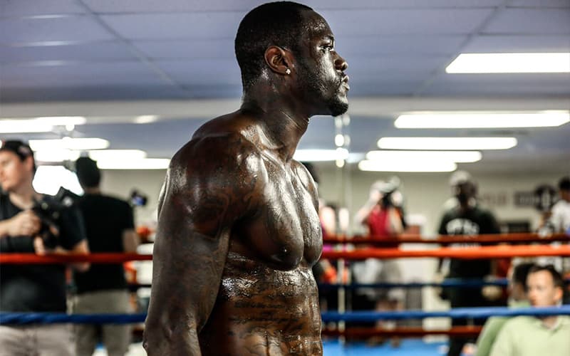 Deontay Wilder Training
