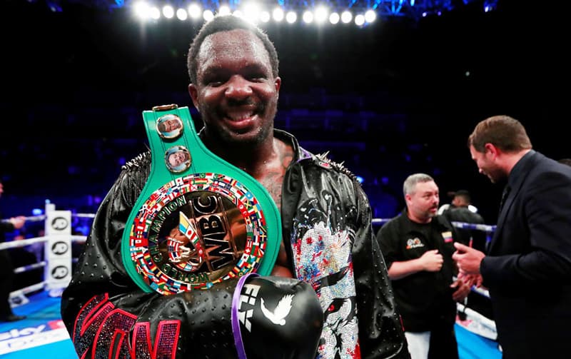 Dillian Whyte WBC Interim Title
