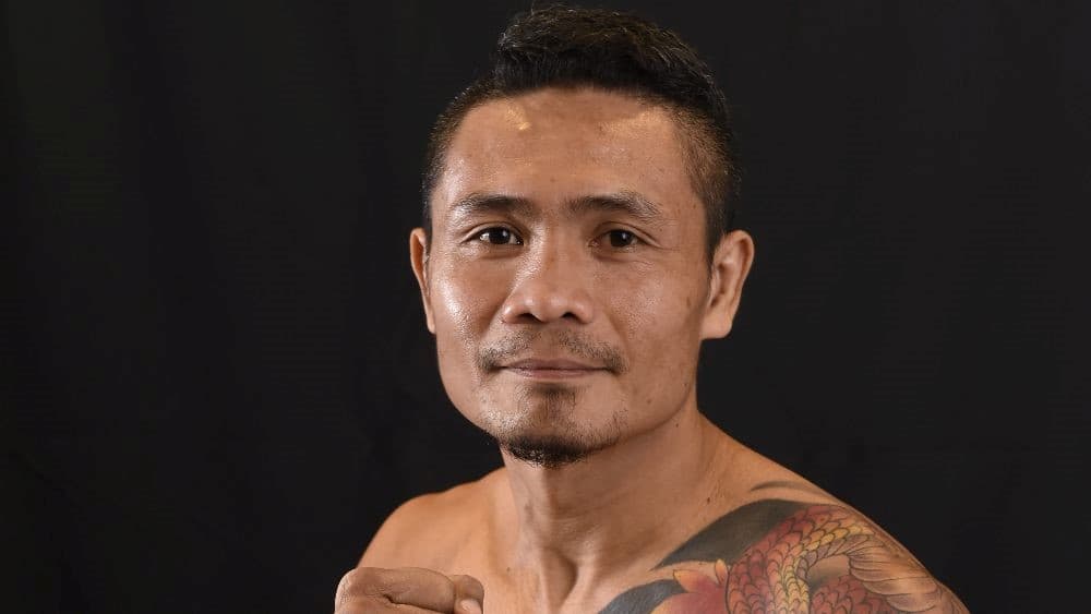 Donnie Nietes Profile