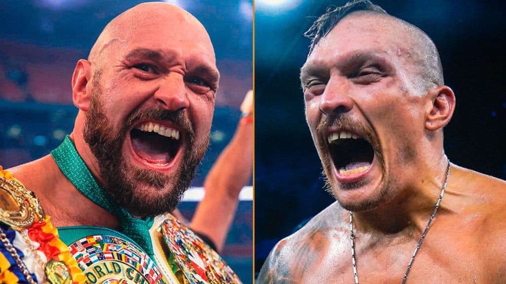 Fury Usyk