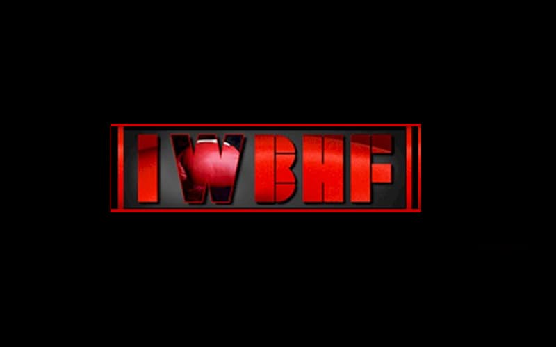 International Women S Boxing Hall of Fame