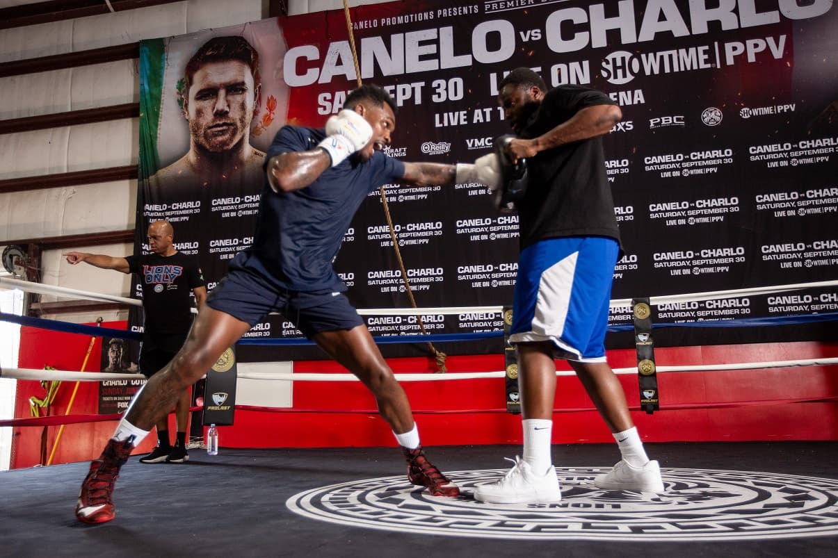 Jermell Charlo Training Pads