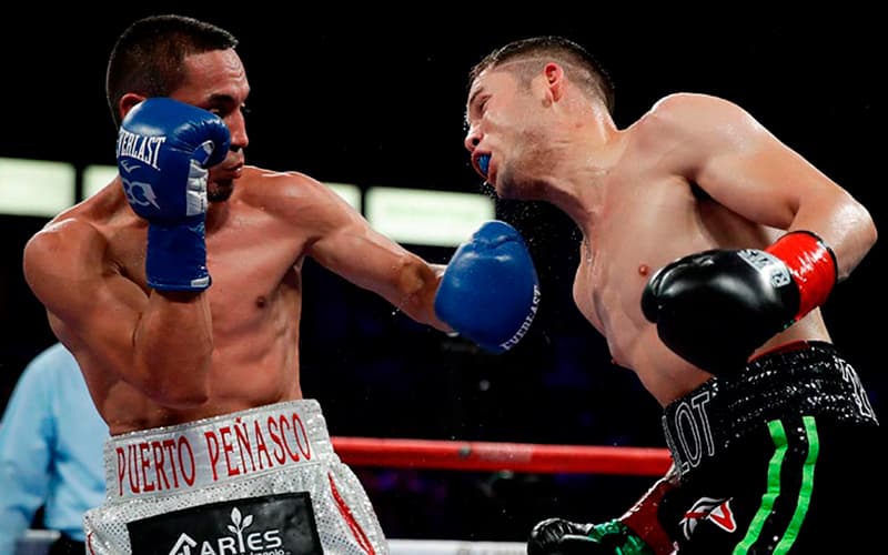 Juan Francisco Estrada vs Carlos Cuadras