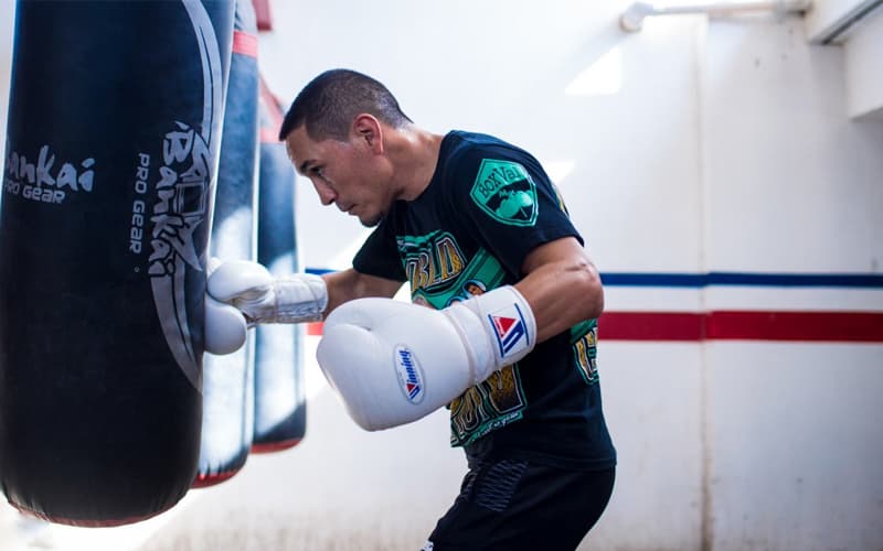Juan Francisco Estrada Punchbag