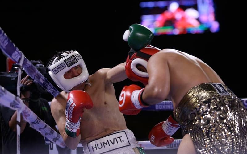 Julio Cesar Chavez Goodbye Exhibition