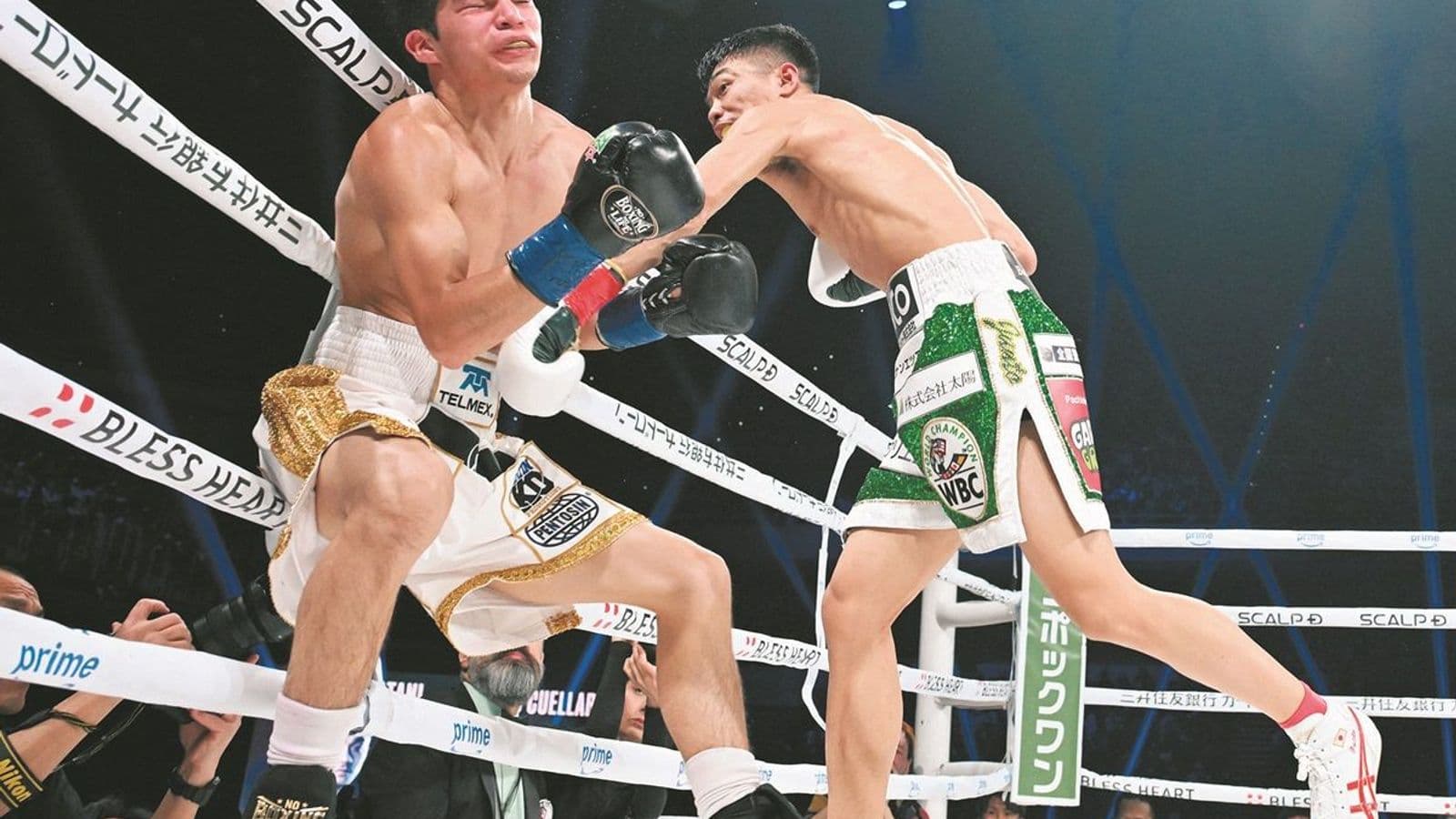 Junto Nakatani vs David Cuellar KO