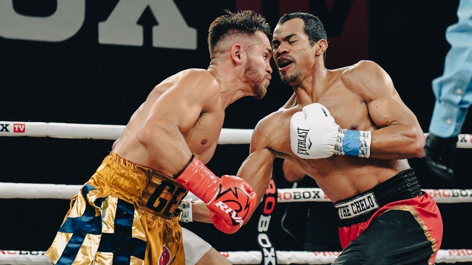 Guido Emmanuel Schramm vs Johan Gonzalez Fight