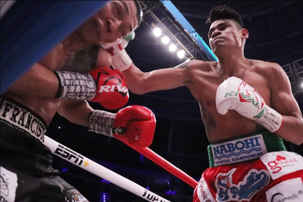 Emanuel Navarrete Francisco Horta Head to Head