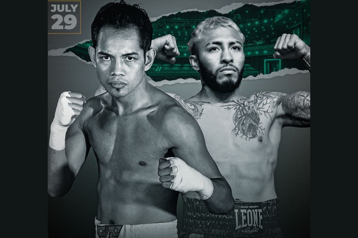Nonito Donaire vs Santiago