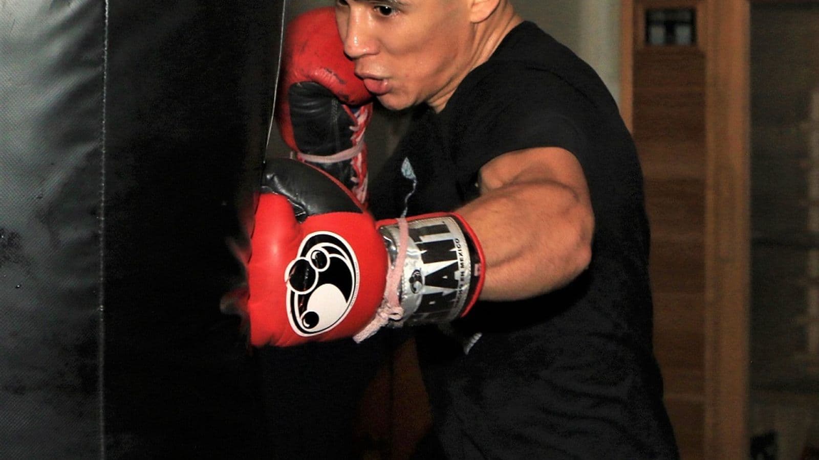 Omar Juarez Punchbag