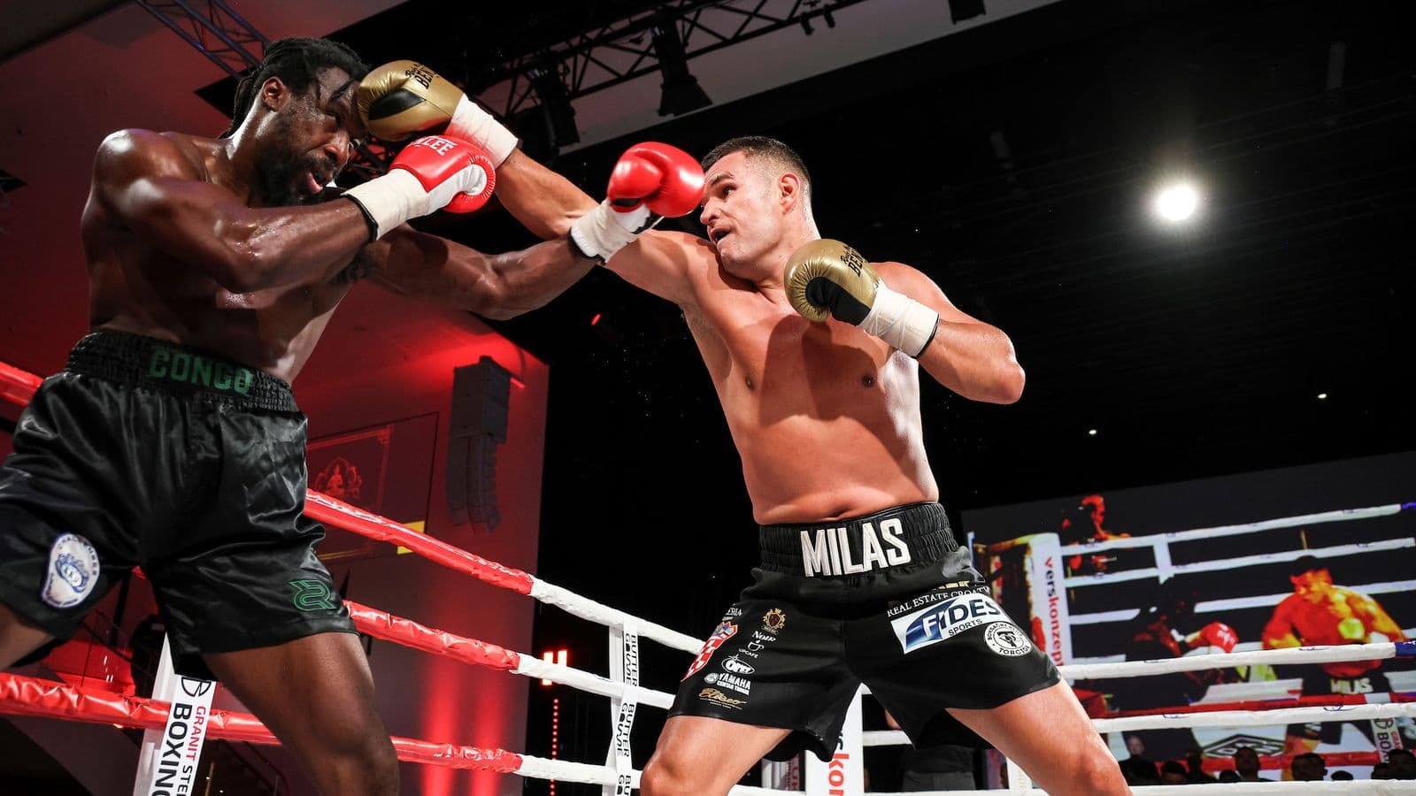 Petar Milas vs Joel Tambwe Djeko Fight