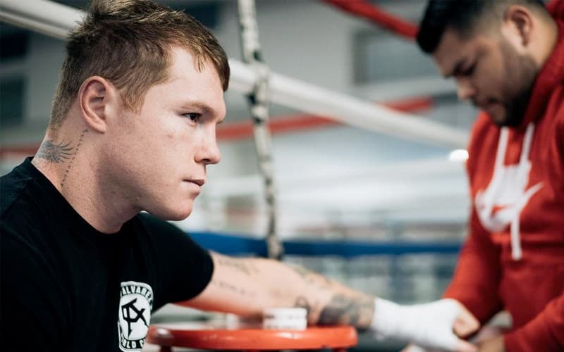 Canelo Hands Being Wrapped