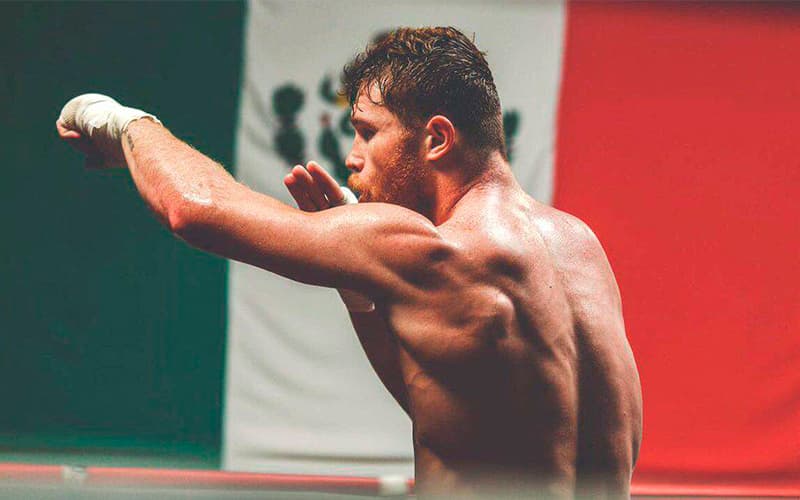 Canelo Shadow Boxing