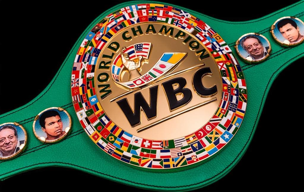 WBC Title Angled