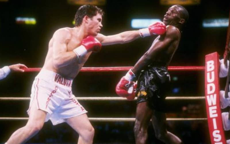 Julio Cesar Chavez vs Roger Mayweather