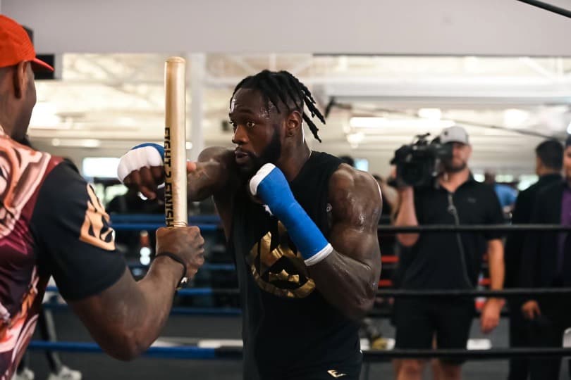 Deontay Wilder Training With Malik Scott
