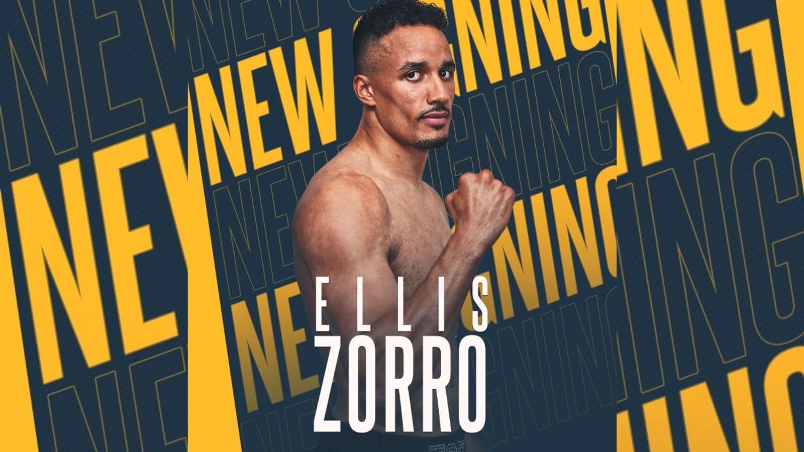 Ellis Zorro Wttt Landscape