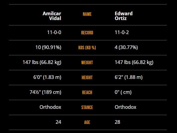Amilcar Vidal vs Edward Ortiz