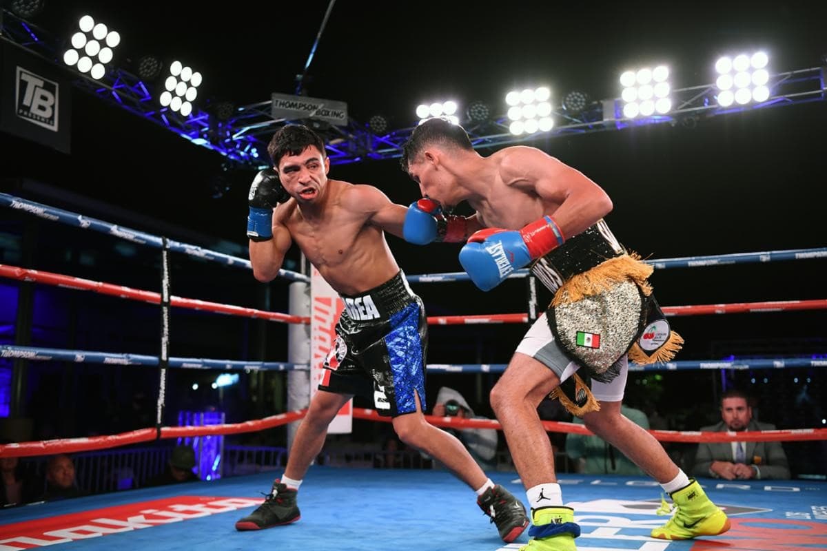 Eros Correa vs Luis Fernando Saavedra Fight