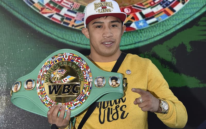 Julio Cesar Rey Martinez WBC Belt Yellow Jumper