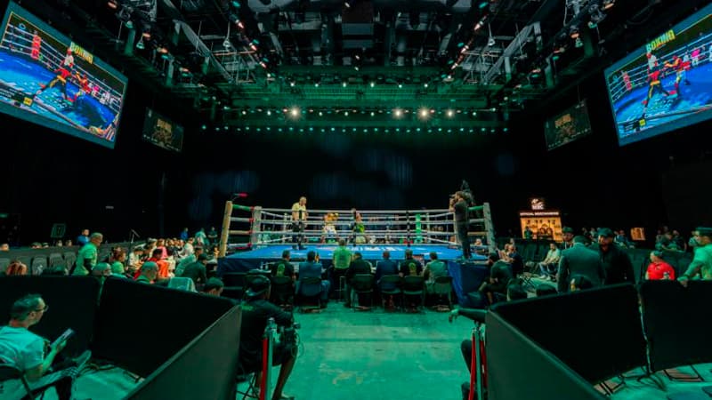WBC Boxing Grand Prix Phase