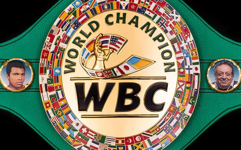 WBC Title Close Up