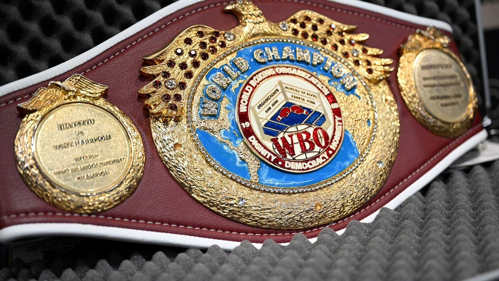 WBO World Title in Case