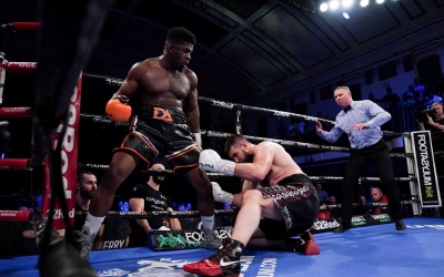 David Adeleye stops Dymtro Bezus to win first title wbo european heavyweight boxrec watch highlights frank warren bt sport amateur career record world rankings next fight youtube