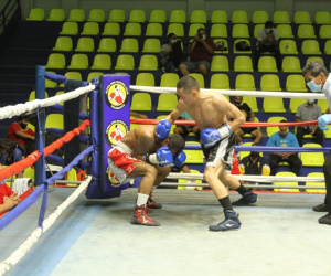 Fransisco Fonseca scores brutal KO1 - targets Carl Frampton next