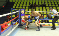 Fransisco Fonseca scores brutal KO1 - targets Carl Frampton next