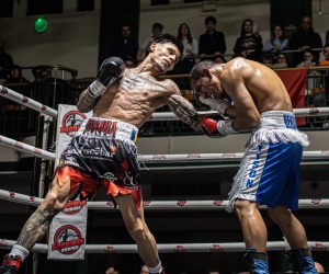 Giorgio "Dracula" Isaila sinks his teeth into Josue Bendana to secure another KO stoppage win boxrec watch full fight highlights matt marsh trainer