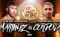 Julio Cesar Martínez vs Angelino Cordova Venezuela boxrec time date tv channel how to watch fight predictions preview oddschecker bookies betting odds best bets