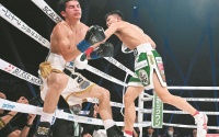 Junto Nakatani successfully defends his WBC bantamweight crown with stunning knockout watch full fight highlights next boxrec wiki naoya inoue