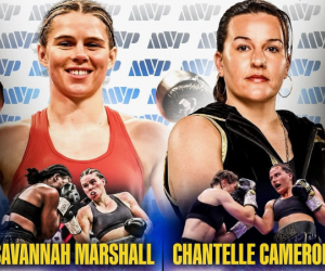 Jake Paul signs Chantelle Cameron and Savannah Marshall mvp most valuable promotions