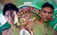Kenshiro Teraji vs Cristofer Rosales WBC World flyweight title fight preview how to watch oddschecker wiki youtube boxrec stats predictions tv channle bets betting odds