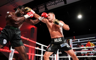 Petar Milas shines with KO win as Granit Stein loses narrowly fight highlights how to watch youtube clips full boxrec wiki