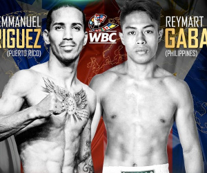 interim bantamweight title WBC orders Reymart Gaballo vs Emmanuel Rodríguez nonito donaire Nordine Oubaali who wins preview first fight result report watch highlights youtube predictions