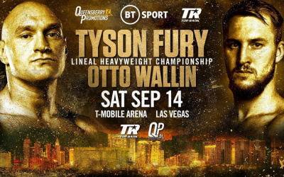 Tyson Fury reacts to Otto Wallin critics