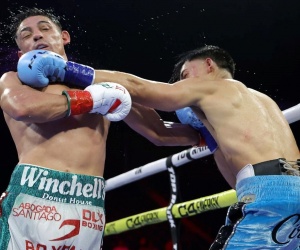 Angelo Leo captures IBF featherweight world title with stunning one-punch KO against Venado Lopez boxrec watch full fight highlights knockout left hook clip wiki