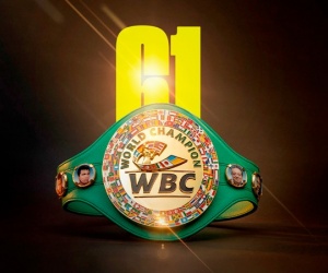 WBC decision regarding chantelle cameron boxrec wiki two-minute rounds for women’s boxing based on clinical study